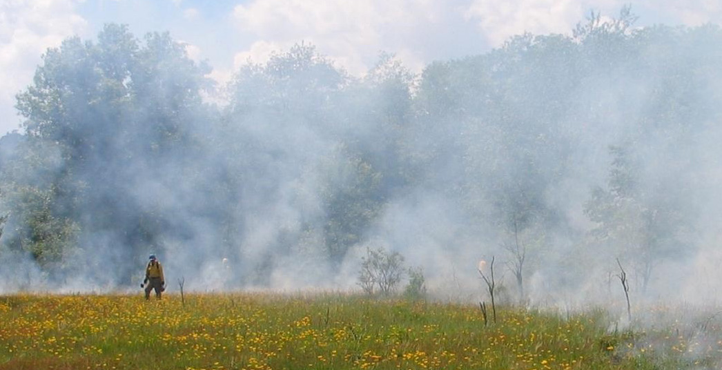 Prescribed_Burn_crop