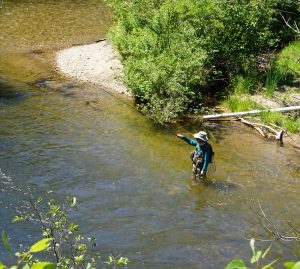 Fly_Fisherman_cropped